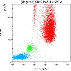 CD10-PC5.5, ALB1, 50 Tests, CE-IVD