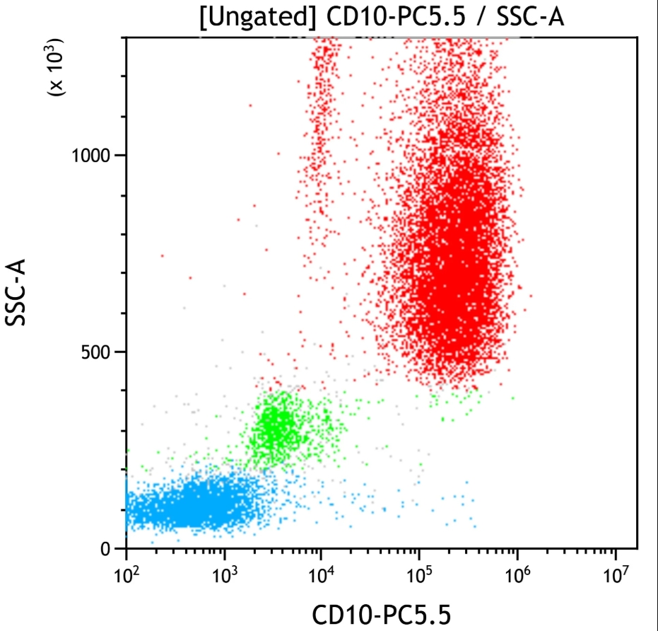 CD10-PC5.5, ALB1, 50 Tests, CE-IVD