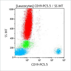 CD19-PC5.5