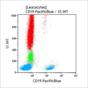 CD19-PB