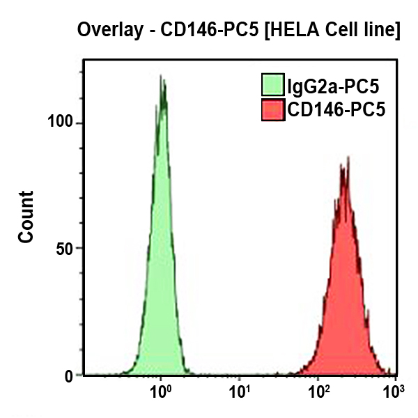CD146-PC5, TEA 1/34, 1 mL, ASR