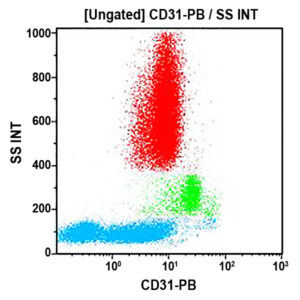CD31-Pacific Blue, 5.6E, 0.5 mL, ASR