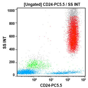 CD24-PC5.5
