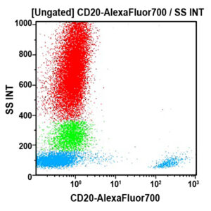 CD20-AF700