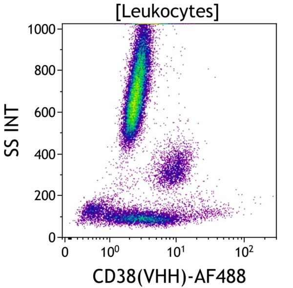 CD38(VHH)-Alexa Fluor 488, JK36, 50 tests, RUO