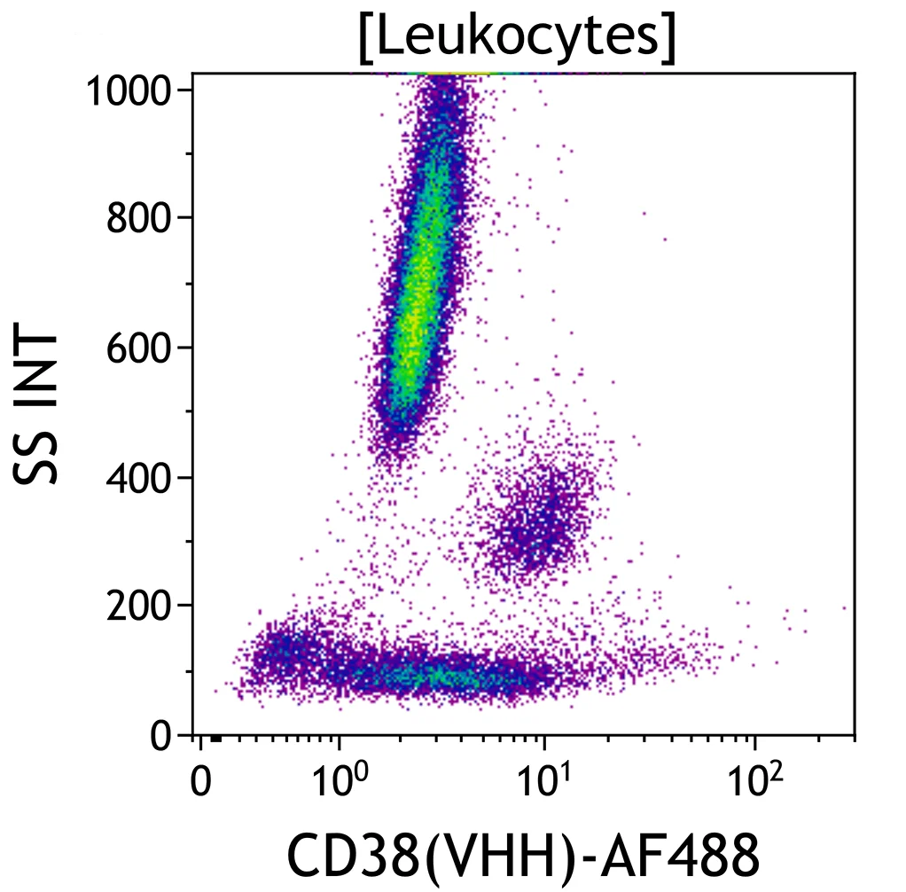 CD38(VHH)-Alexa Fluor 488, JK36, 50 tests, RUO