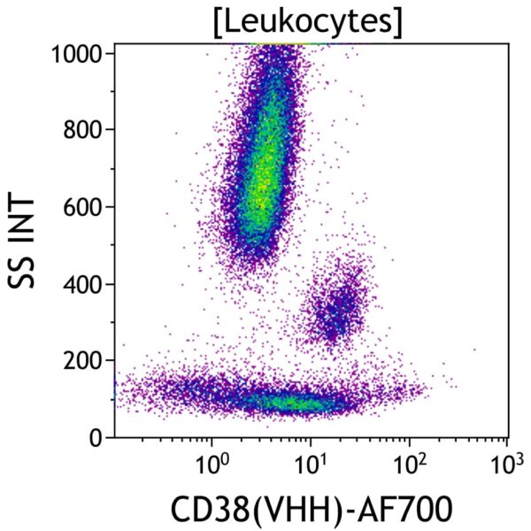 CD38(VHH)-Alexa Fluor 700, JK36, 50 tests, RUO