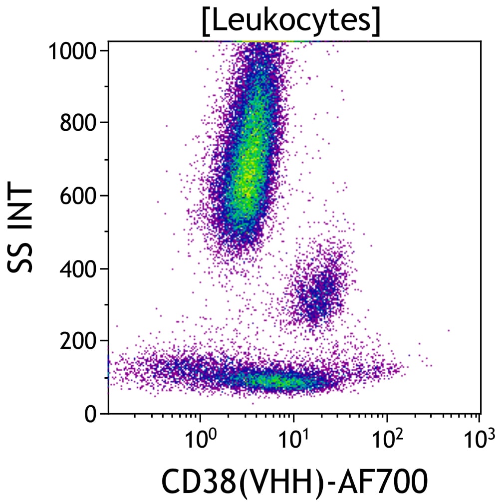 CD38(VHH)-Alexa Fluor 700, JK36, 50 tests, RUO - изображение 1