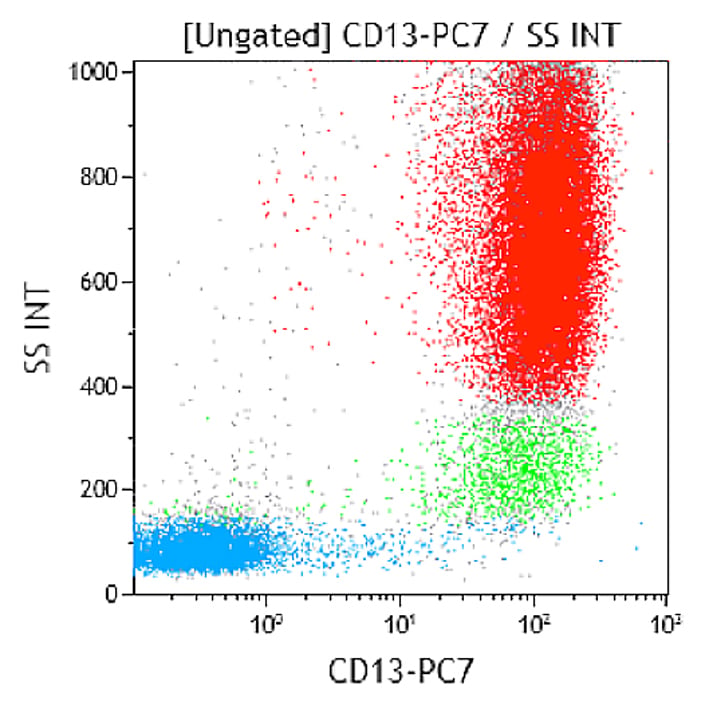 CD13-PC7 - изображение 1