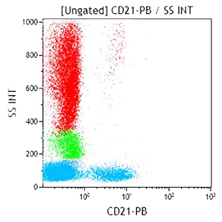 CD21-PB - изображение 1