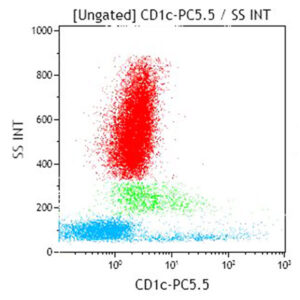 CD1c-PC5.5